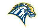 DT Image